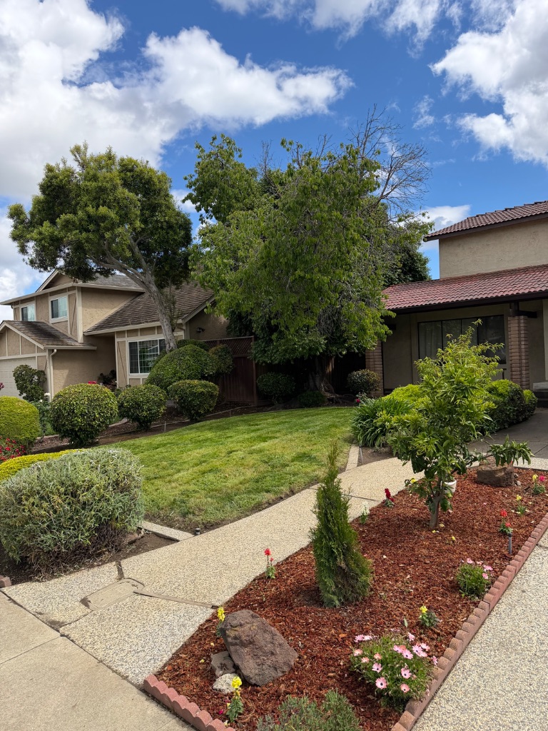 Front yard landscape design in Campbell CA — Deluxe Building Services