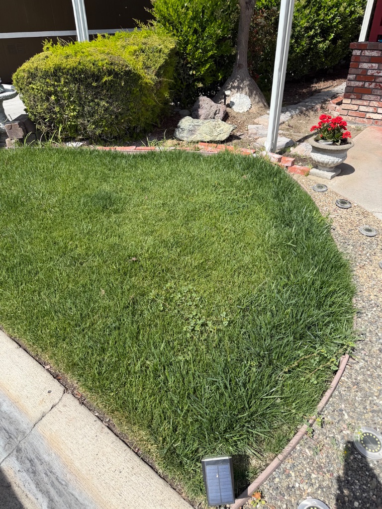 Lawn care and landscaping in Milpitas CA — freshly mowed green lawn by Deluxe Building Services