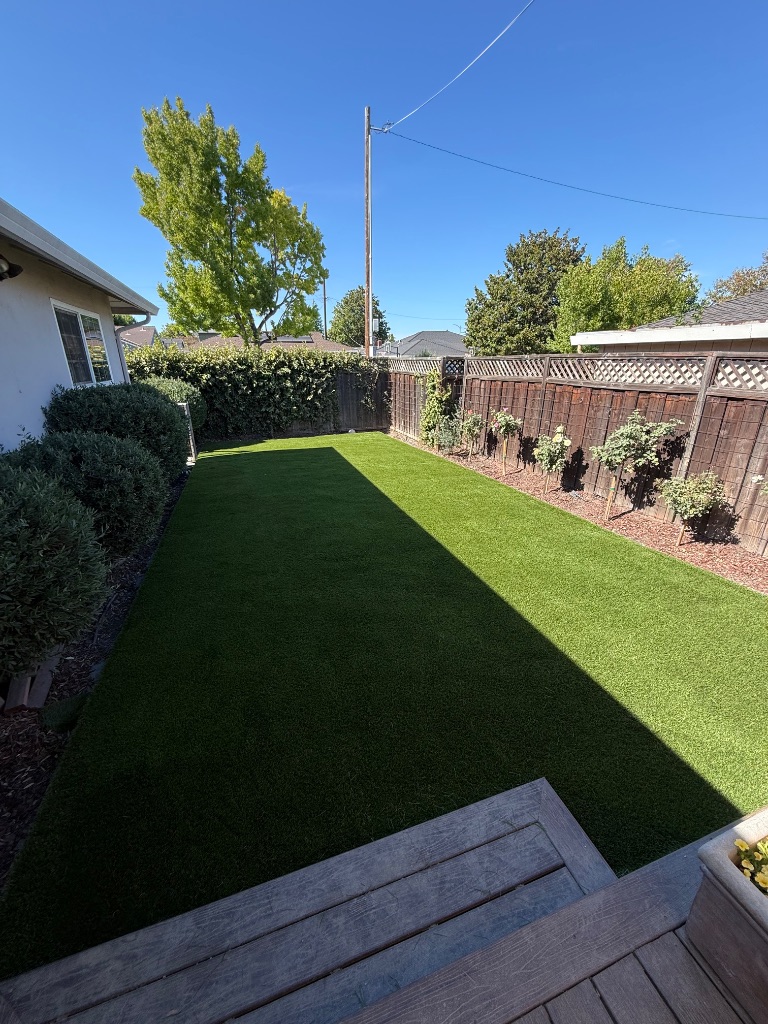 Step 5: Infill application and finished turf — Deluxe Building Services